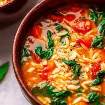 Italian Orzo Spinach Soup