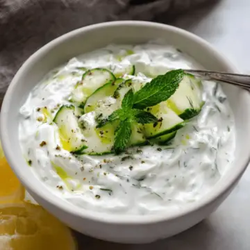Healthy Tzatziki Sauce Recipe